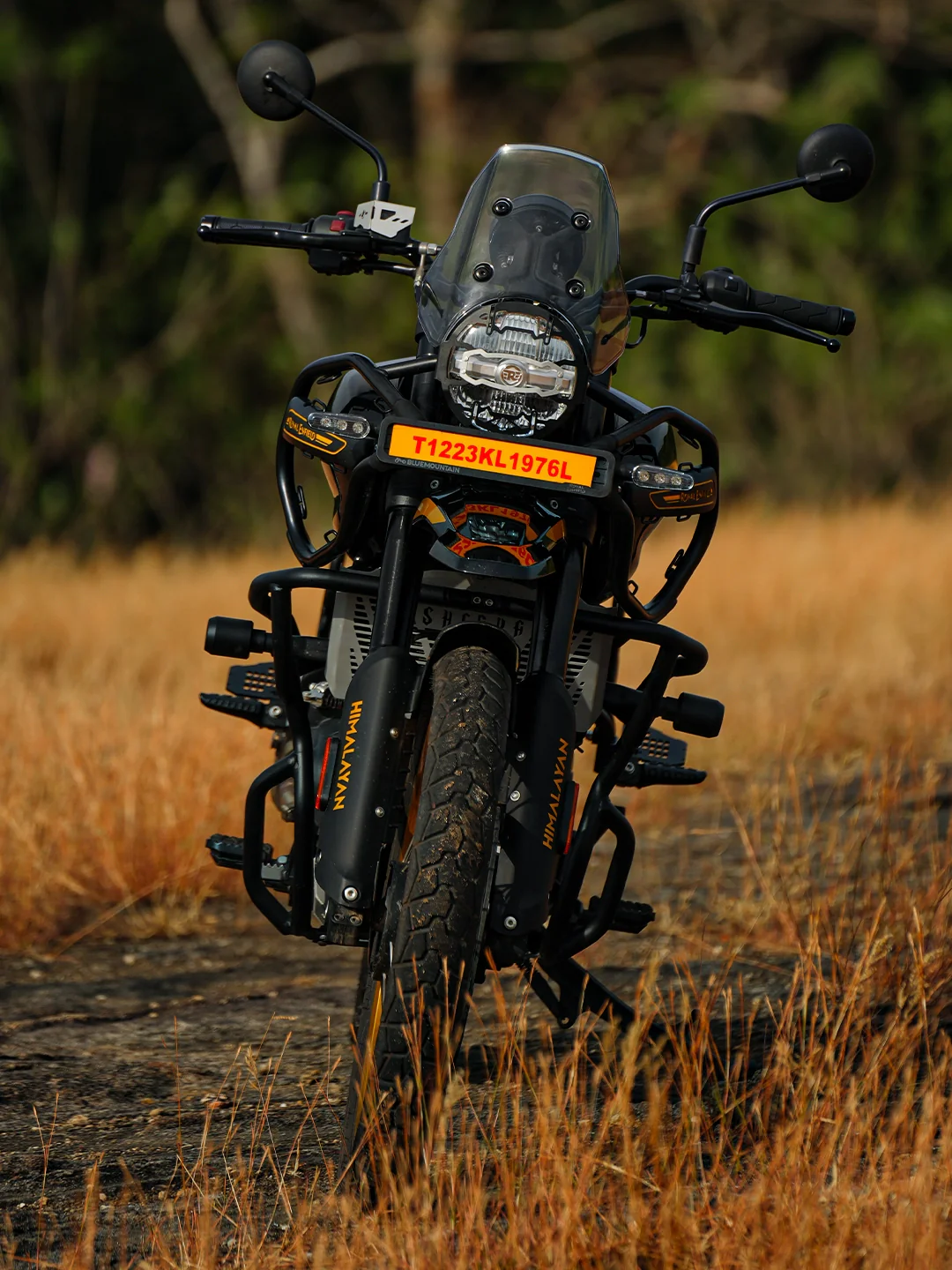 Legundary Himalayan 450 Cosmic Headlight Grill - Image 3