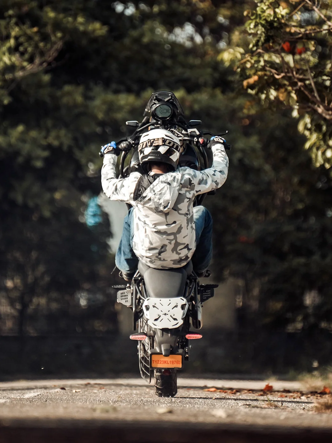 Legundary Himalayan 450 Taurus Carrier Plate Aluminium - Image 5