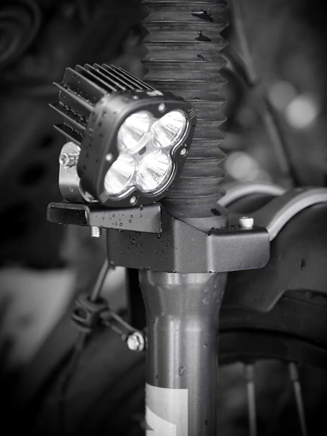 Legundary Himalayan Foglight Mount - Image 4
